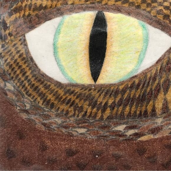 Hand Crafted Dragons Eye Original Colored Drawing Framed Pencil Art - Picture 7 of 14